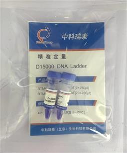 D15000 DNA ladder（250-15000bp）