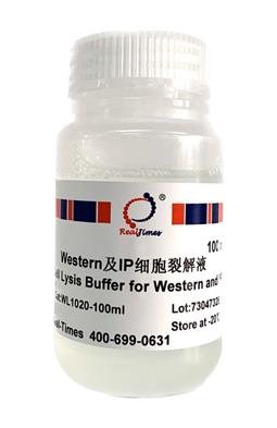 Western及IP細胞裂解液