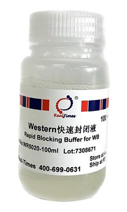 Western快(kuài)速封閉液