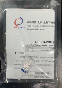 Anti-GAPDH抗體(tǐ)（兔單抗）