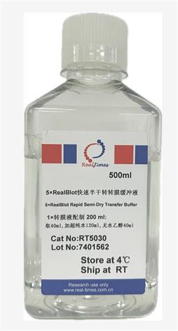 5×RealBlot快(kuài)速半幹轉轉膜緩沖液