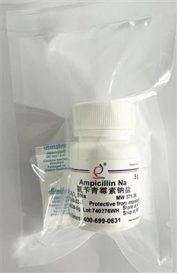 Ampicillin sodium salt 氨苄青黴素鈉鹽